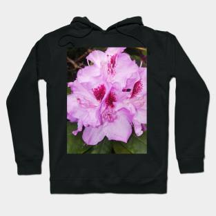 Pink Flower Nature Photography Art Hoodie